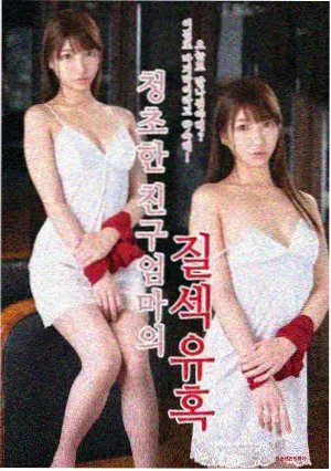 第二次十七岁 索引卡封面